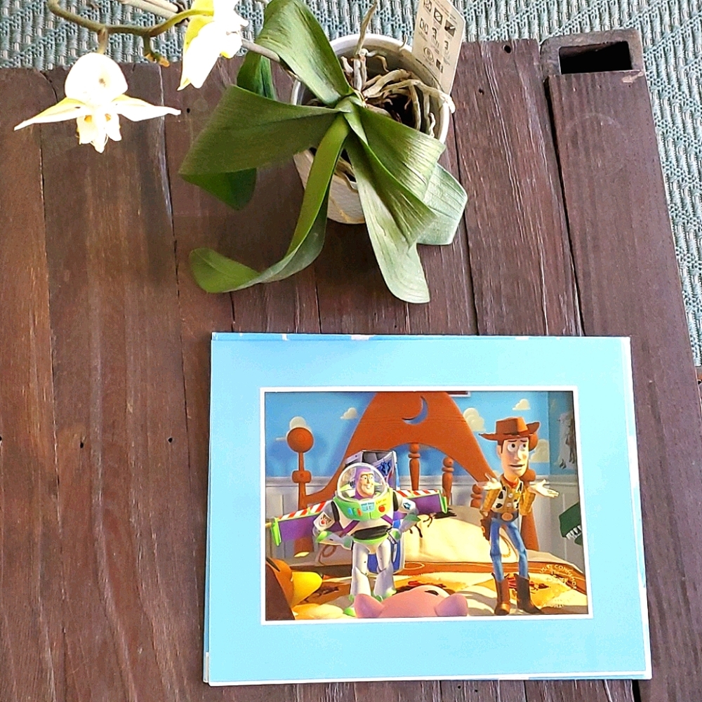 Exclusive Commemorative Lithograph- Toy Story